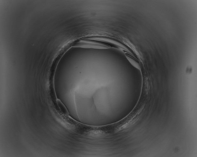 X0000095670203200801151111