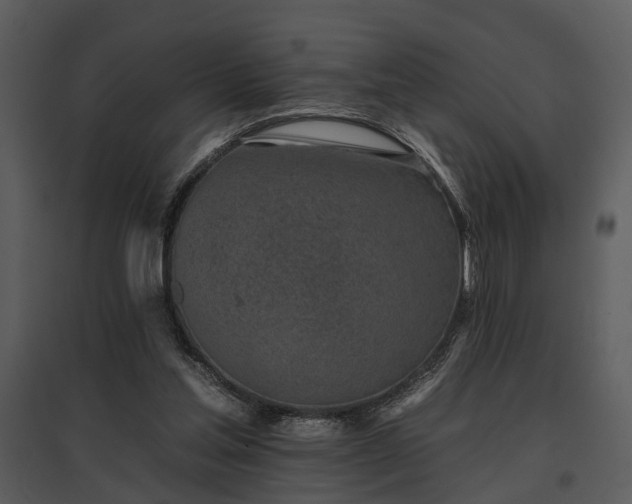 X0000095670205200801151111