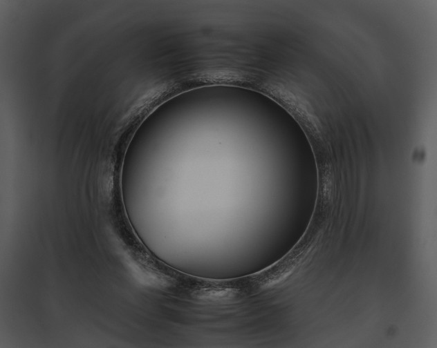 X0000095670206200801151111