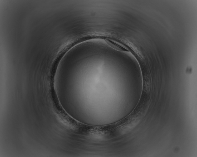 X0000095670207200801151111