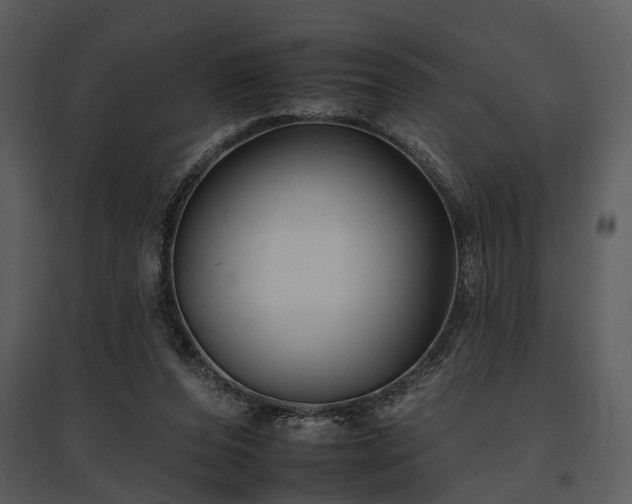 X0000095670208200801151111