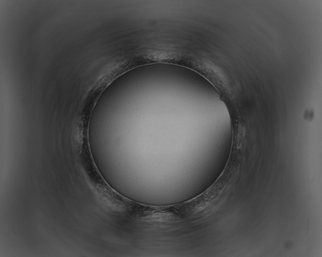 X0000095670210200801151111