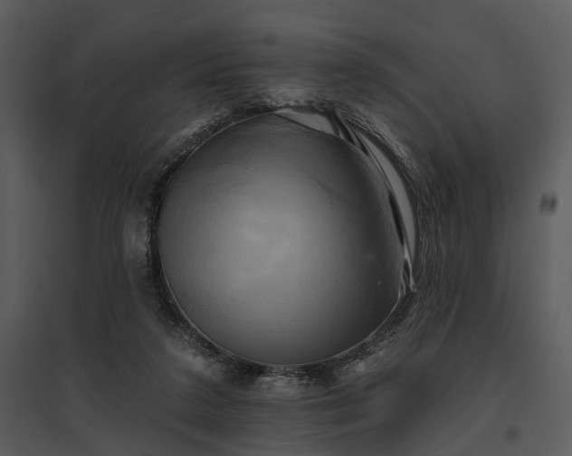 X0000095670211200801151111