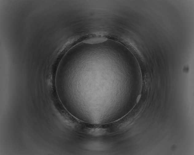 X0000095670212200801151111