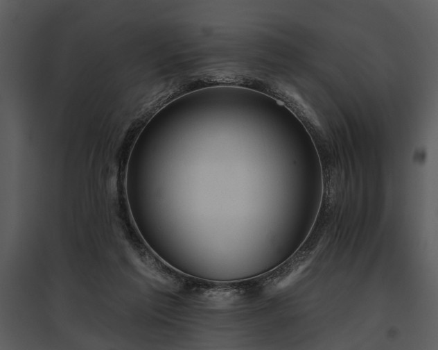 X0000095670213200801151111