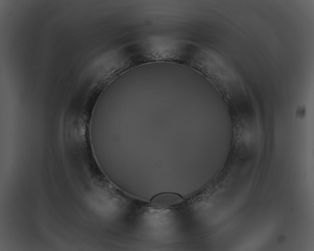 X0000095670214200801151111