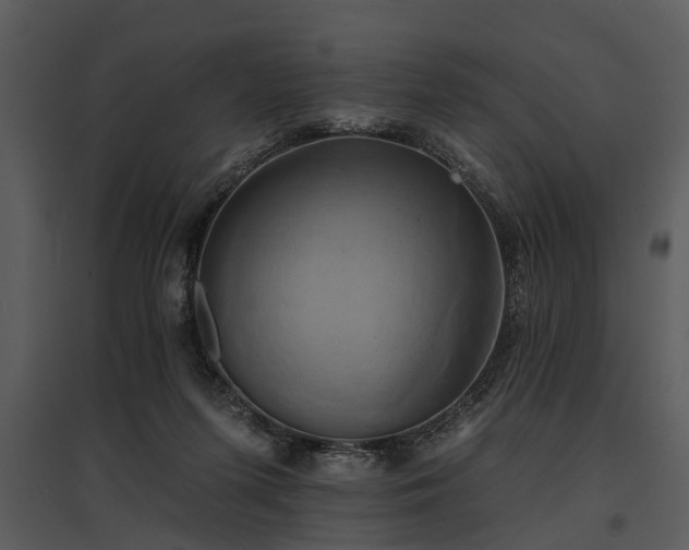 X0000095670215200801151111