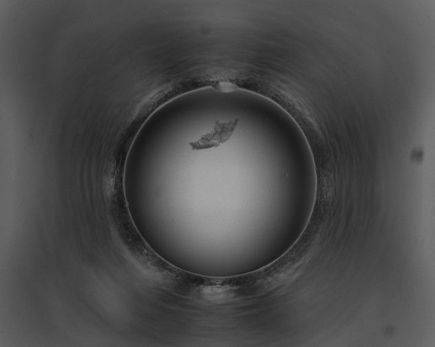 X0000095670216200801151111