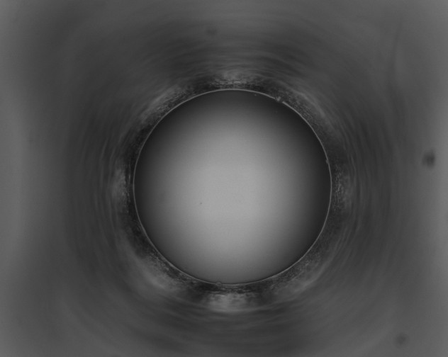 X0000095670220200801151111