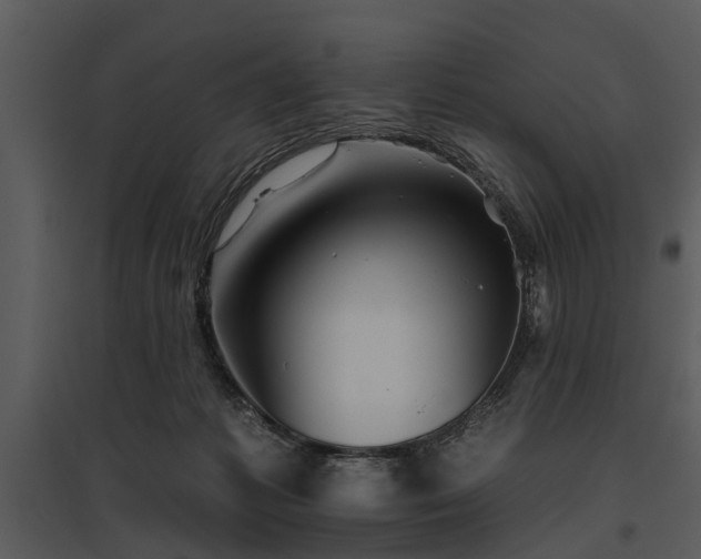 X0000095670221200801151111