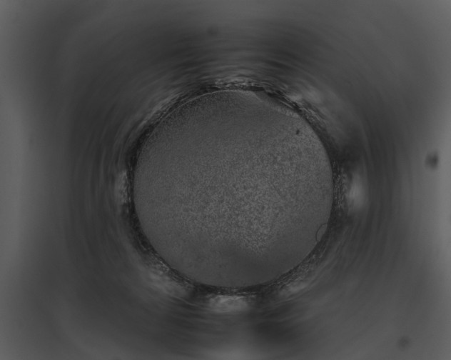 X0000095670224200801151111