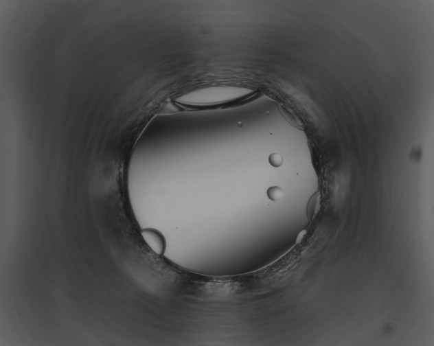 X0000095670225200801151111