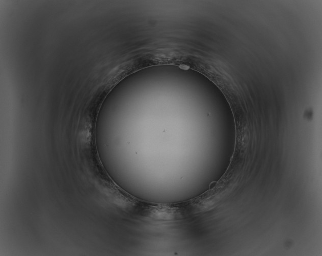 X0000095670226200801151111