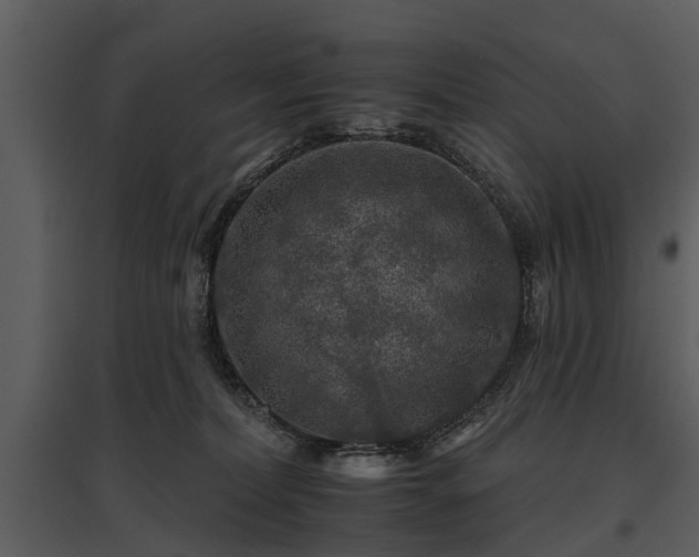 X0000095670228200801151111