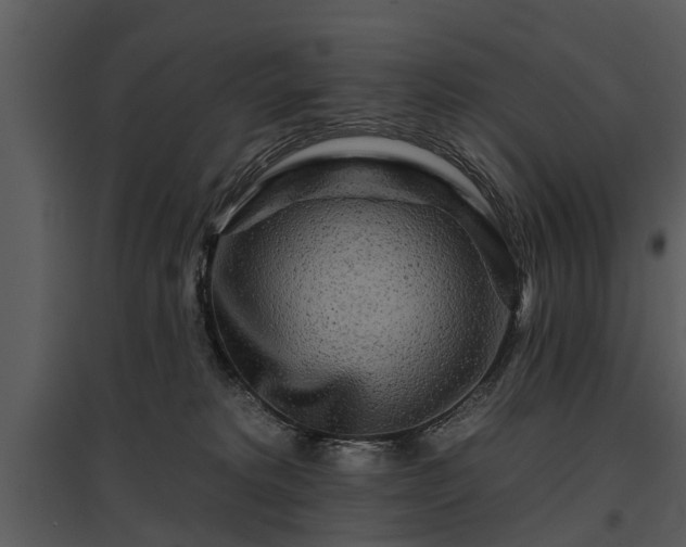 X0000095670229200801151111