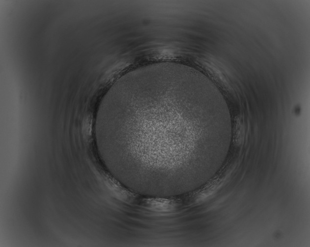 X0000095670230200801151111