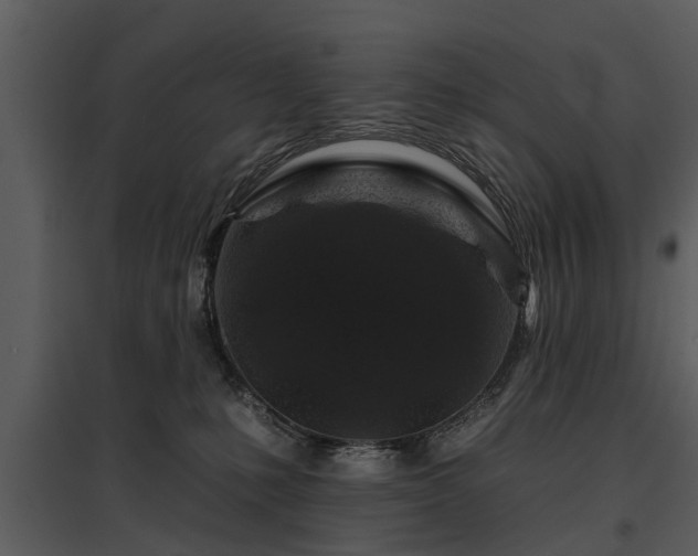 X0000095670231200801151111