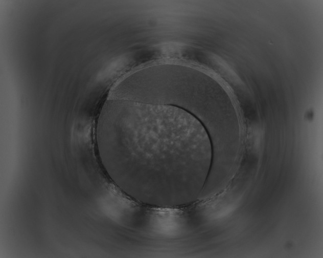 X0000095670233200801151111