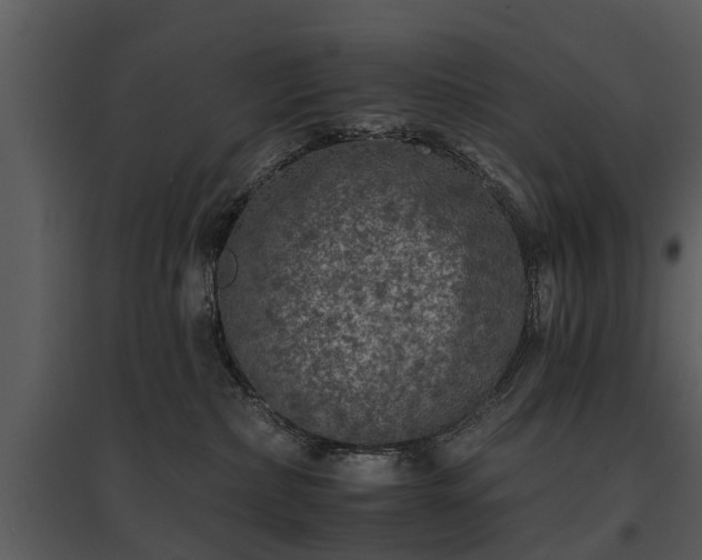 X0000095670236200801151111