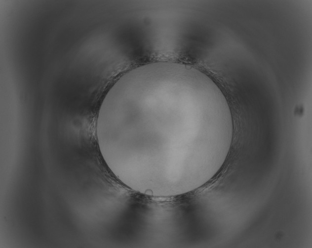 X0000095670240200801151111