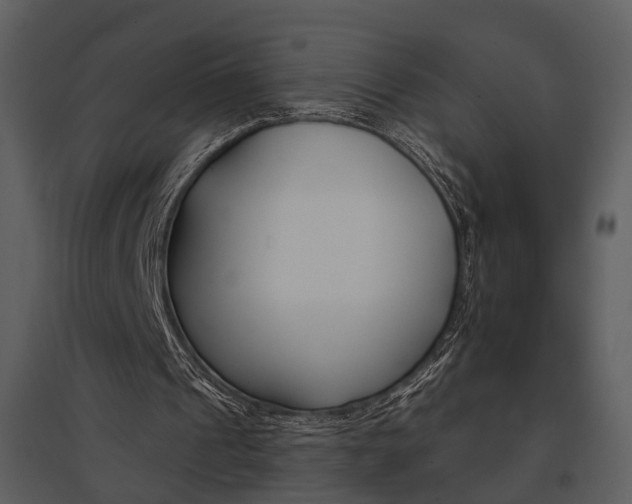 X0000095670241200801151110