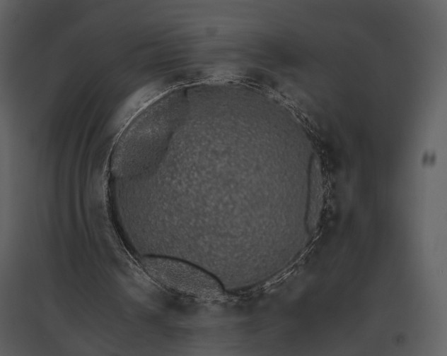 X0000095670242200801151110