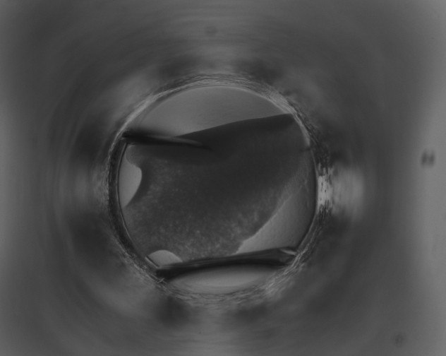 X0000095670243200801151110