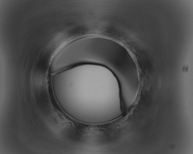 X0000095670244200801151110