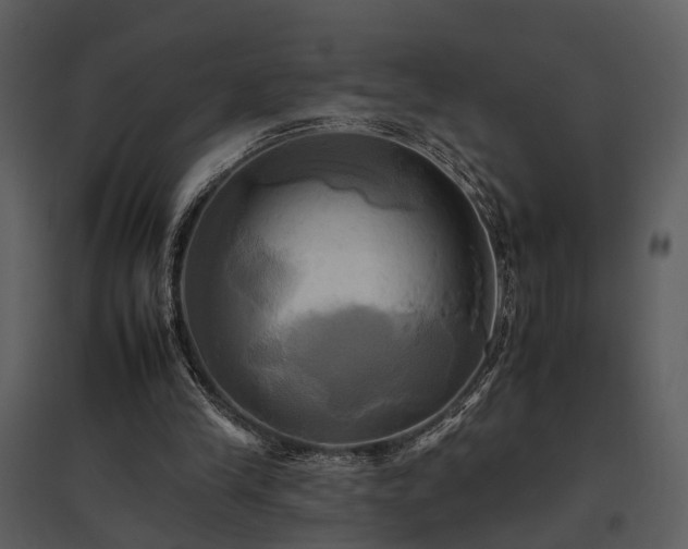 X0000095670245200801151110