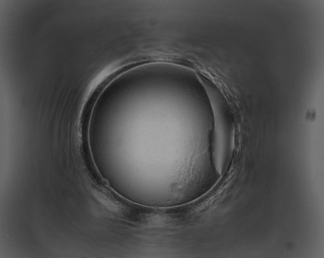 X0000095670246200801151110