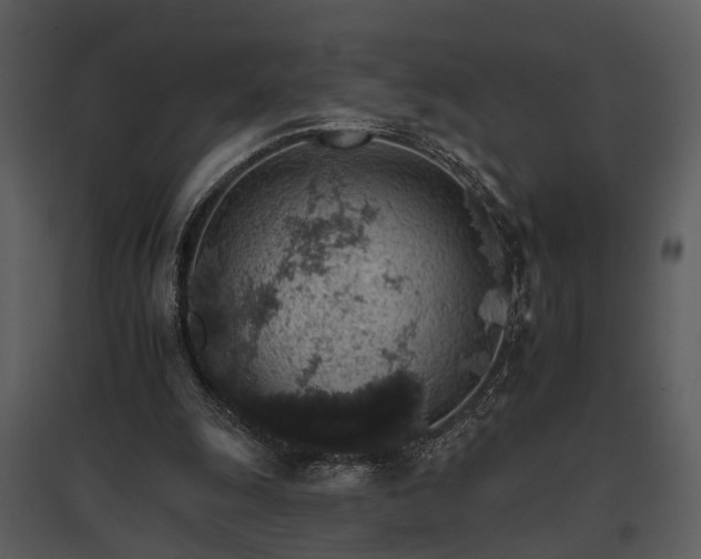 X0000095670247200801151110