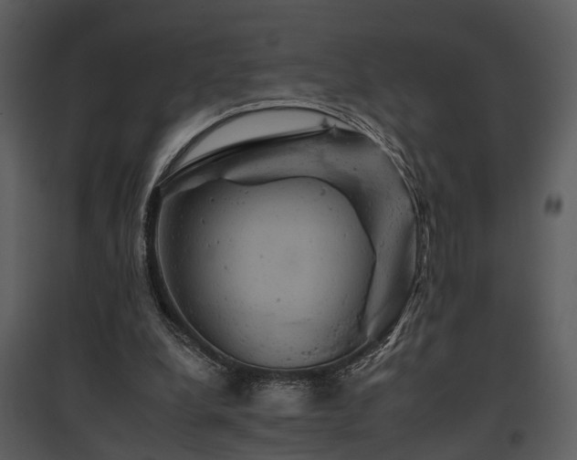 X0000095670248200801151110