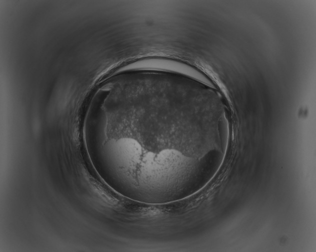 X0000095670249200801151110