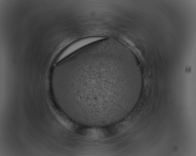 X0000095670250200801151110