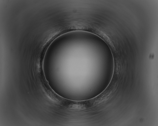 X0000095670251200801151110