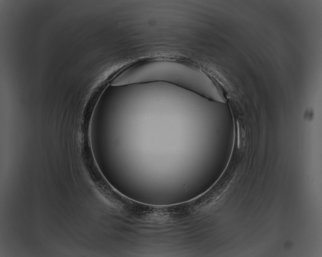 X0000095670252200801151110