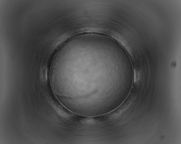 X0000095670253200801151110