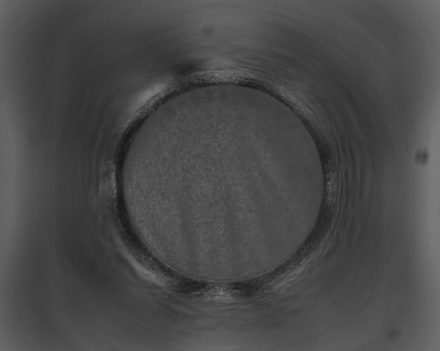 X0000095670254200801151110