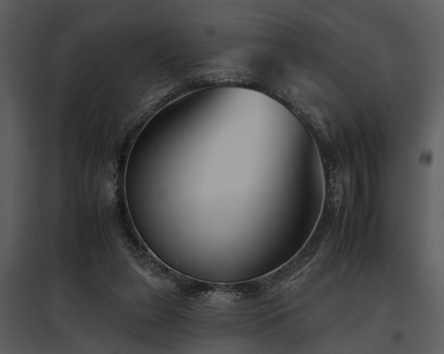 X0000095670255200801151110