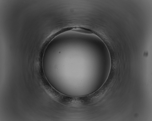 X0000095670256200801151110