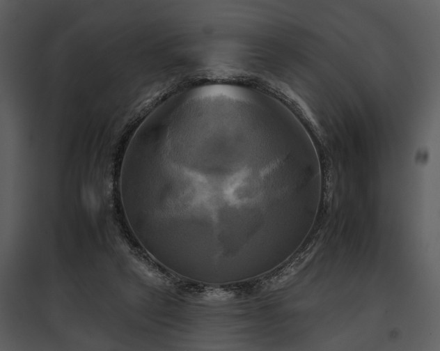 X0000095670257200801151110