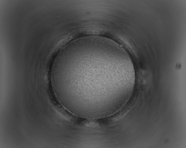 X0000095670258200801151110