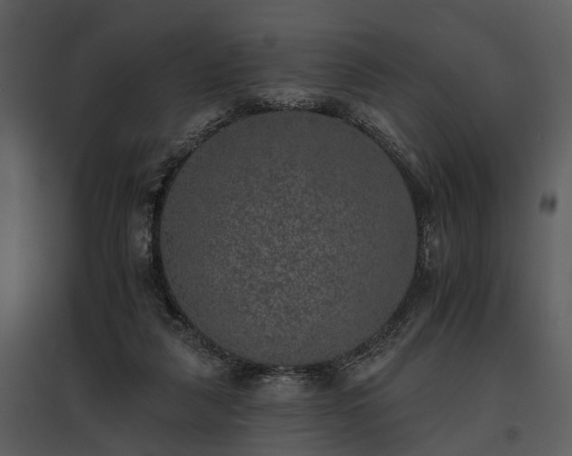 X0000095670259200801151110