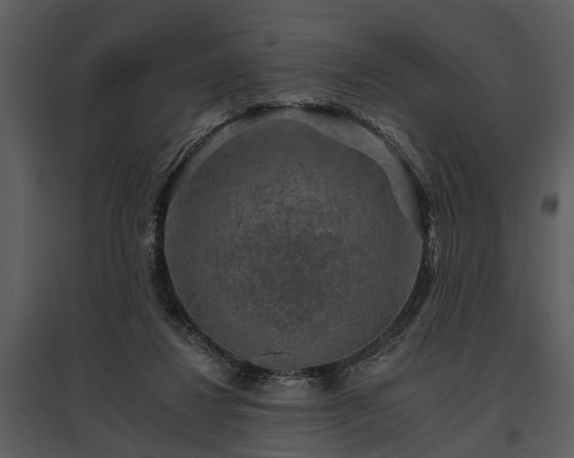 X0000095670260200801151110