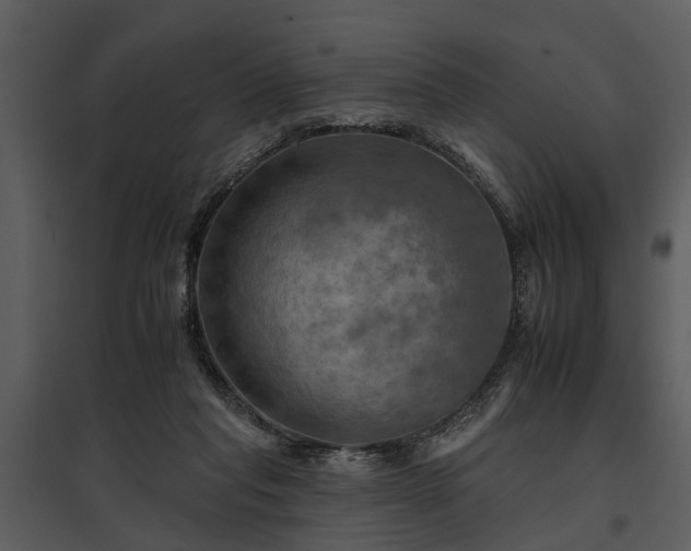 X0000095670261200801151110