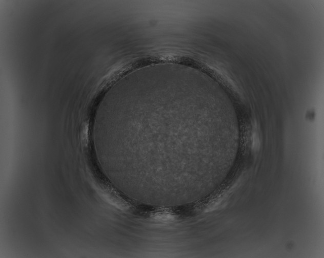 X0000095670262200801151110