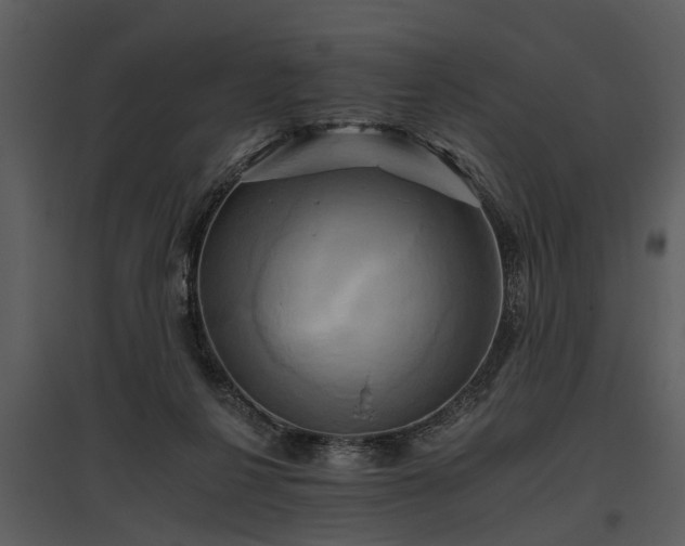 X0000095670264200801151110