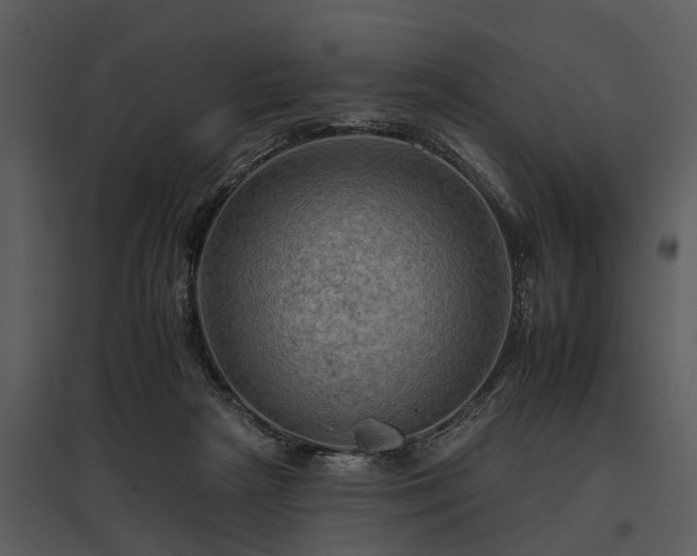 X0000095670265200801151110