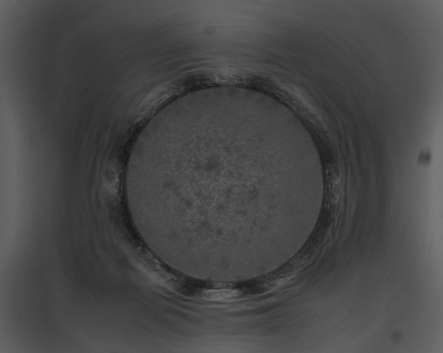 X0000095670266200801151110