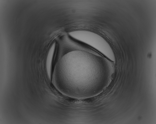 X0000095670268200801151110